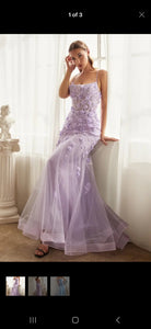 Fitted Floral Aplique Tulle Gown/ Ladivine by Cinderella Divine